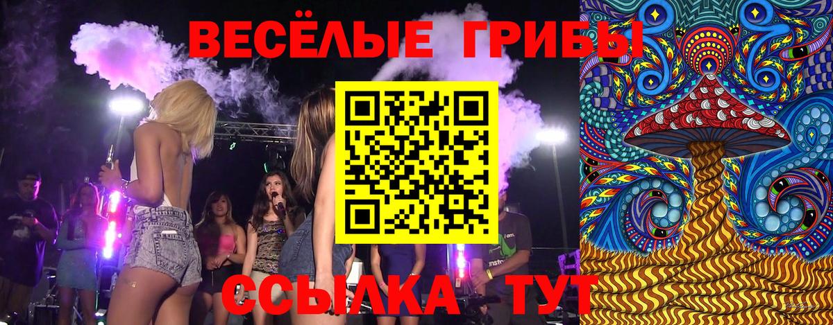 Александров  Галлюциногенные грибы Magic Shrooms  Вход с VPN 