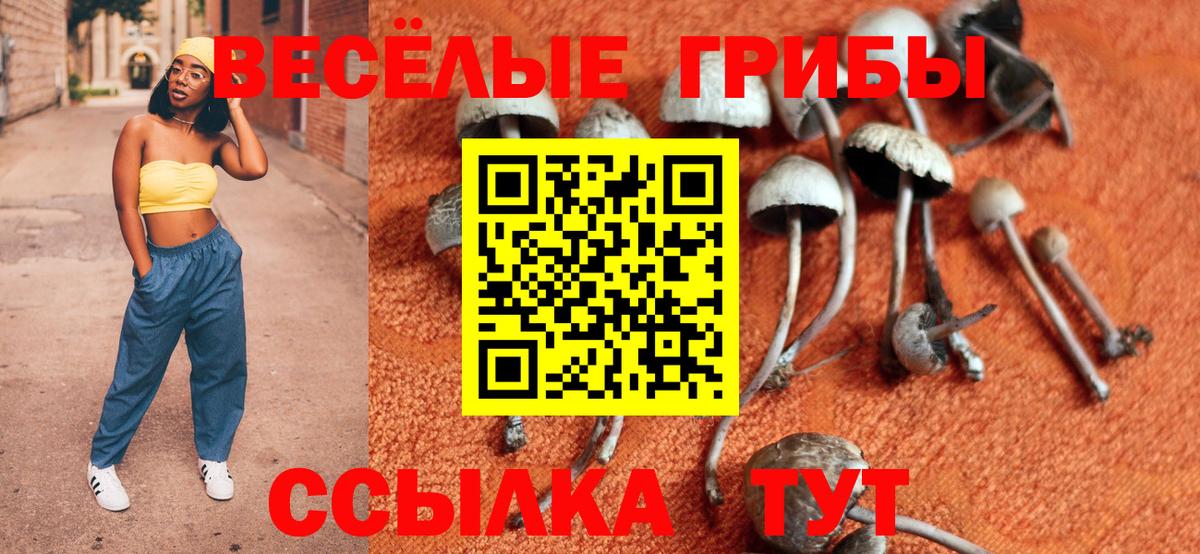 Галлюциногенные грибы Cubensis Александров